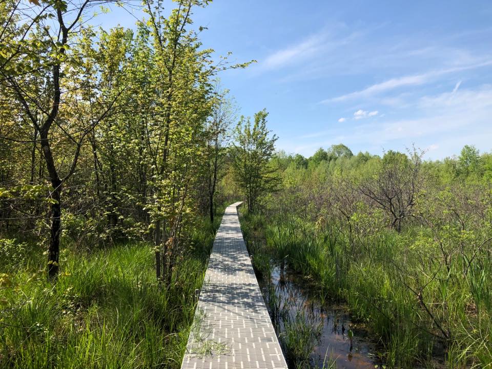 Beanblossom Bottom Boardwalk